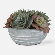 Uttermost CA 60212 - Uttermost Peoria Succulent Accent