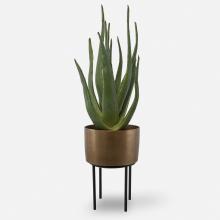 Uttermost CA 60217 - Uttermost Arabia Aloe Planter