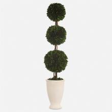 Uttermost CA 60223 - Uttermost Preserved Boxwood Triple Topiary