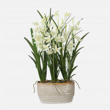 Uttermost CA 60227 - Uttermost Ariana Orchid Planter