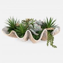 Uttermost CA 60233 - Uttermost Seaside Breeze Succulents