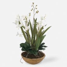 Uttermost CA 60039 - Uttermost Moth Orchid Planter