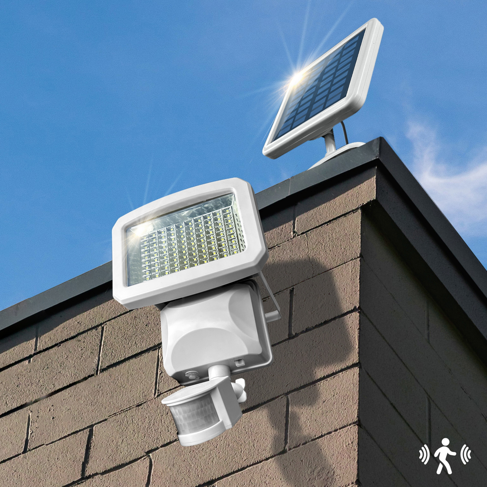 Classy Caps Solar Motion Sensor Security Light