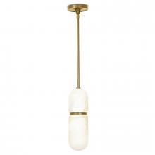 Regina Andrew CA 16-1386NB - Salon Pendant (Natural Brass)