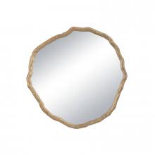 Regina Andrew CA 21-1166 - Vine Mirror Small (Antique Gold)