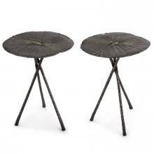 Regina Andrew CA 30-1129DNI - Lotus Table Large (Set of 2) Dark Nickel