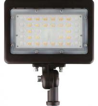 National Specialty Lighting Ltd. FL-15-CT - 120V CCT Mini Flood Light