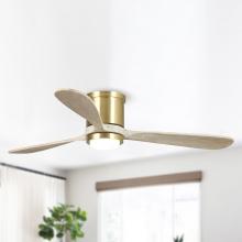 Eileen Grays LLC 530173SQQ - Parrot Uncle 52" Sand Gold Integrated LED Flush Mount Ceiling Fan, Modern