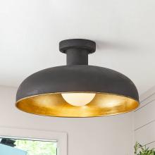 Eileen Grays LLC BBW9413-1110V - Parrot Uncle 30" Black 1-Light Flush Mount Ceiling Light, Industrial