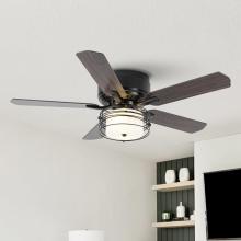 Eileen Grays LLC F6356110V - Parrot Uncle 42" Black Indoor Retractable Caged Ceiling Fan, Industrial