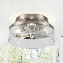 Eileen Grays LLC F8299110V - Parrot Uncle 12.6" Nickel 3-Blade Cage Flush Mount Ceiling Fan, Modern