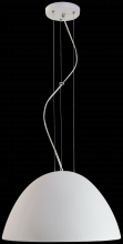 Geo Contemporary Sapinus F21 - Sapinus Pendant