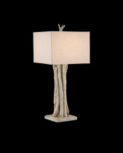 Currey Canada 6000-0919 - Driftwood Whitewash Table Lamp