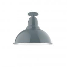 Montclair Light Works FMB107-40-G06 - 14" Cafe Flush Mount Light with Frosted Glass and cast guard in Slate Gray