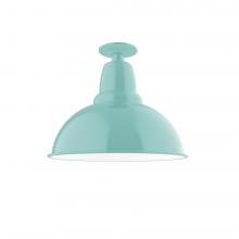 Montclair Light Works FMB107-48-W14-L13 - 14" Cafe LED Flush Mount Light with wire grill in Sea Green