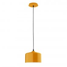 Montclair Light Works PEB419-21 - J-Series 8.5" pendant