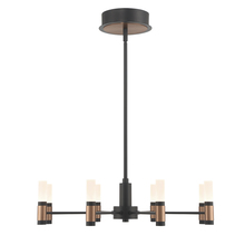 Eurofase Gold CA 46352-019 - Albany 8 Light Chandelier in Black and Brass