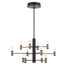 Eurofase Gold CA 46353-016 - Albany 12 Light Chandelier in Black and Brass