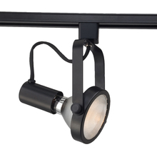 Eurofase Gold CA TK-HGP30-01 - Trackhead, Par30, 75w, Black