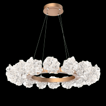 Hammerton CHB0059-24-FB-BC-CA1-L1 - Blossom Radial Ring Chandelier - 24