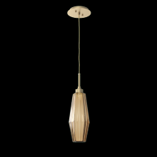 Hammerton LAB0049-17-GB-RB-C01-L1 - Aalto Pendant-17