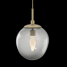 Hammerton LAB0066-01-FB-FC-C01-L3 - Aster Pendant-LED