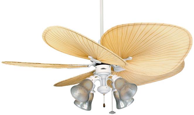 White Ceiling Fan