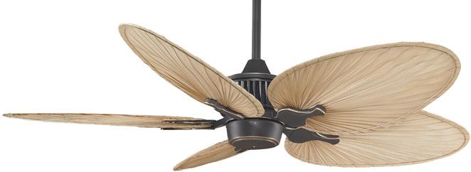 Contemporary Bronze Accent Ceiling Fan