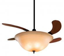 FanC Fans Fanimation FP810AM - Contemporary 5 Light Oil Rubbed Bronze Ceiling Fan