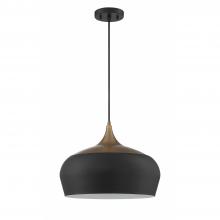 Kendal PF133-BLK/BRS - ORIAN GRANDE 1-Light Black & Brass Pendant