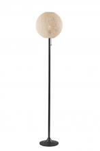 Adesso 4304-12 - Havana Floor Lamp