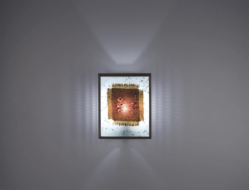 F/N 2 - Bronze - Incandescent - Vision Red