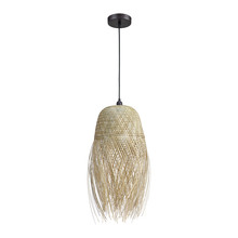 ELK Home Plus D4640 - PENDANT