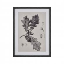 ELK Home Plus S0056-10636 - Oak II Botanic Framed Wall Art