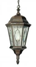 Trans Globe 4717 BG - One Light Black Gold Water, Clear Oval Window Glass Hanging Lantern