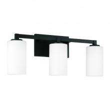 Capital Canada 119831BI-545 - 3 Light Vanity