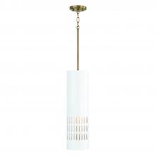 Capital Canada 350211AW - 1 Light Pendant