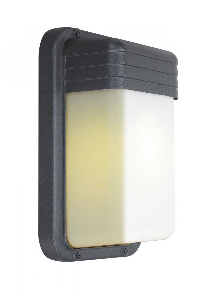 Black Outdoor Wall Light