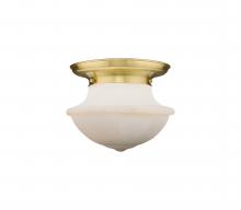  221-1F-SG-G541 - Oxford - 1 Light - 14 inch - Satin Gold - Flush Mount