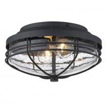 Golden 9808-OFM NB-SD - Seaport Outdoor Flush Mount in Natural Black