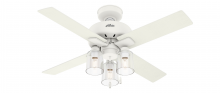 Hunter 50330 - Hunter 44 inch Pelston Matte White Ceiling Fan with LED Light Kit and Pull Chain