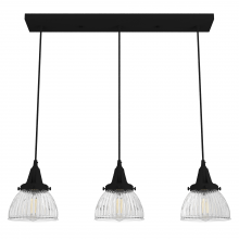 Hunter 19141 - Hunter Cypress Grove Natural Black Iron with Clear Holophane Glass 3 Light Pendant Cluster