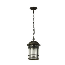 Revolution Lighting OH5413BRSD - 13" Outdoor Hanging Lantern