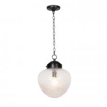 Regina Andrew 16-1419ORB - Regina Andrew Sadie Glass Pendant (Oil Rubbed Br