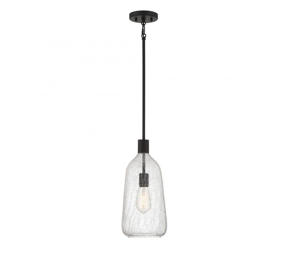 Adair 1-Light Pendant in Matte Black