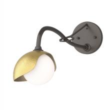 Hubbardton Forge 201376-SKT-14-86-GG0711 - Brooklyn 1-Light Single Shade Long-Arm Sconce