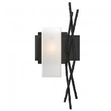 Hubbardton Forge 207670-SKT-LFT-10-GG0351 - Brindille Sconce