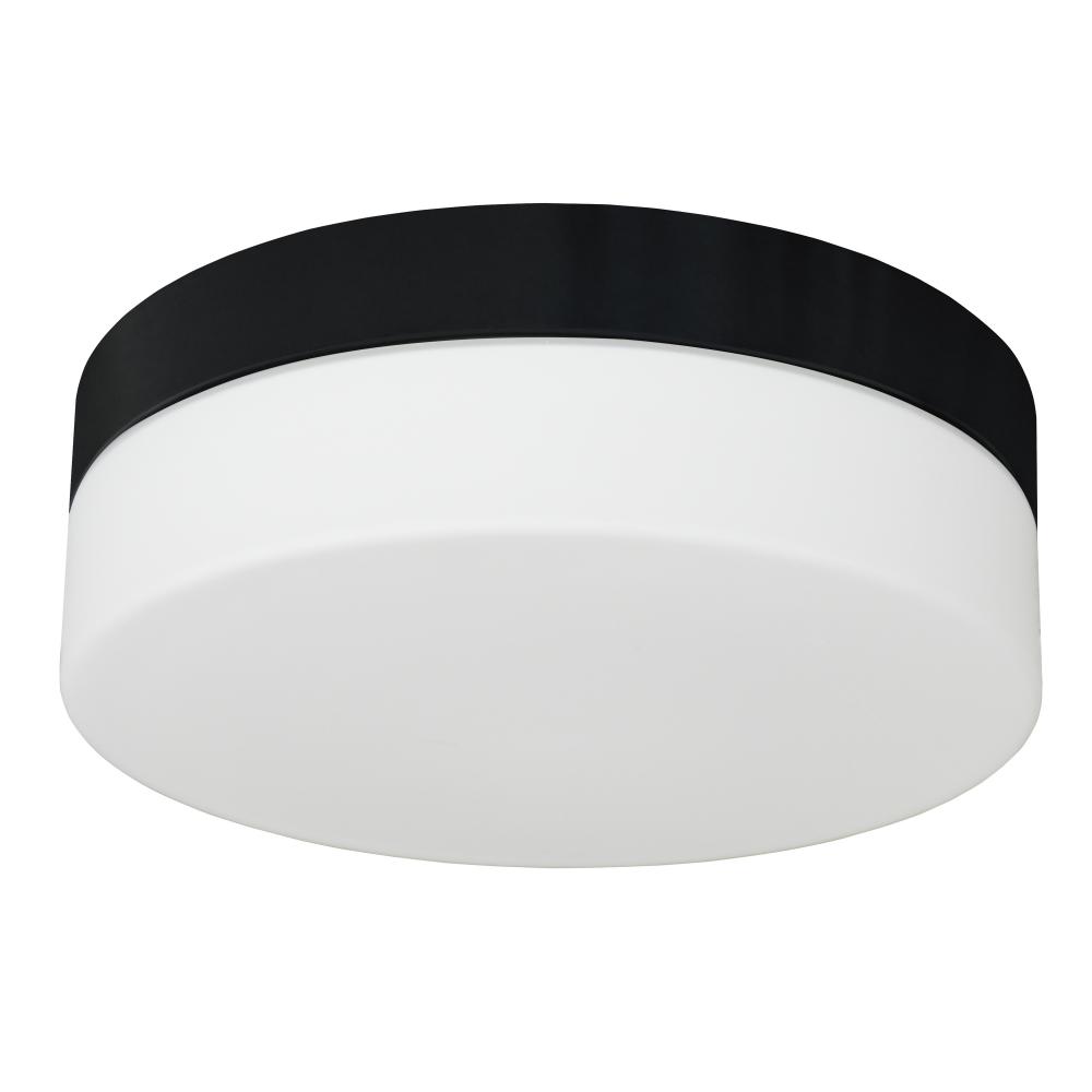 2 Light Flush Mount