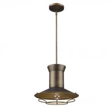 Acclaim Lighting IN21166TC - Newport Indoor 1-Light Pendant W/Louver In Tin Coated Finish