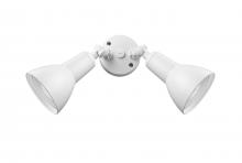 Millennium 17002-MW - Security Flood Lights